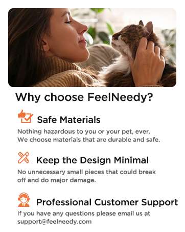 a woman holding a cat and a cat