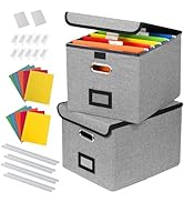 DECOSIS 2Pack File Storage Organizer with 10 Hanging Folders &amp; Plastic Slide, Collapsible Linen F...