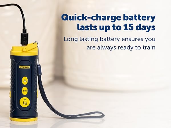 PetSafe Collarless Trainer charges upright beside a toy; battery lasts up to 15 days.