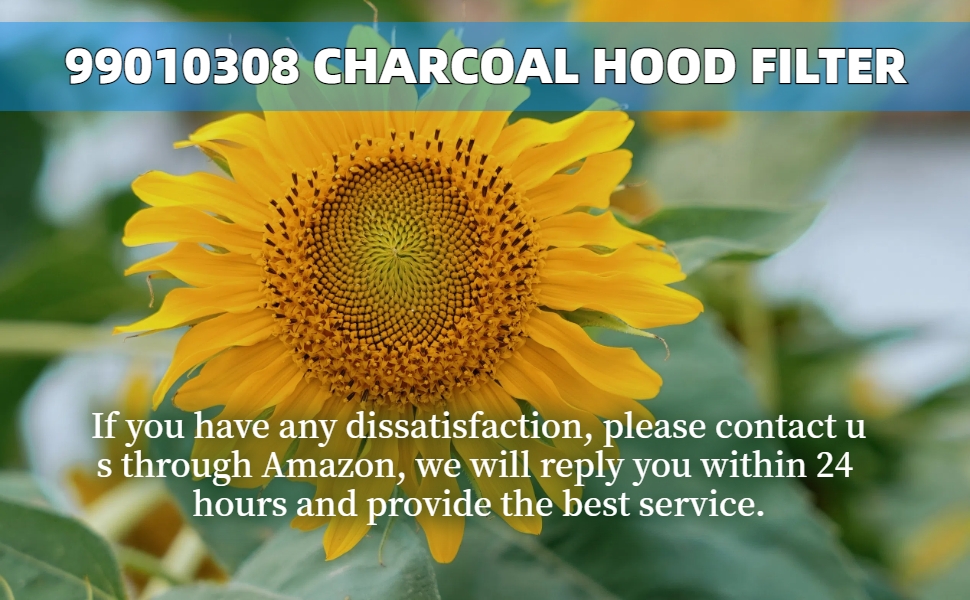 S99010308 Carbon Replacement Filter