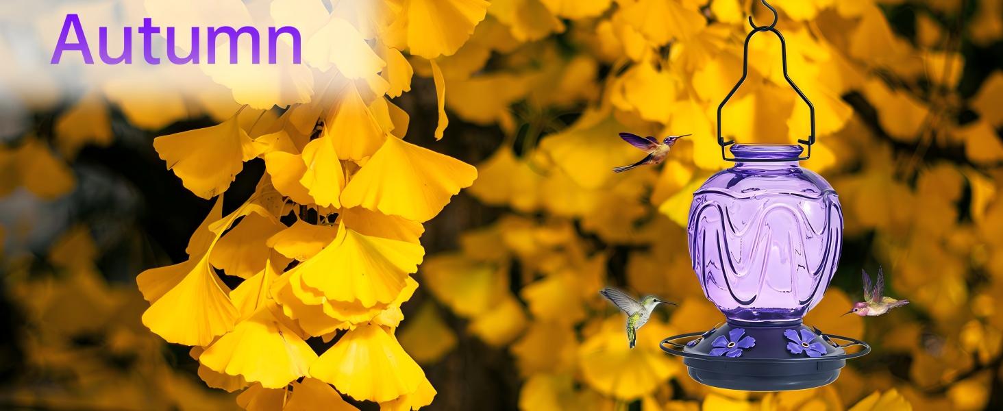 humming bird feeders for outdoors