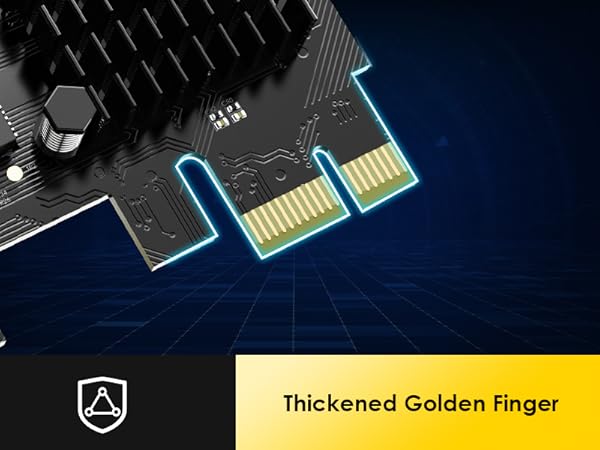 Thickened Golden Finger