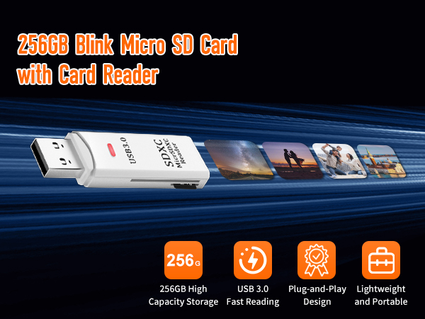 blink sd card storage
