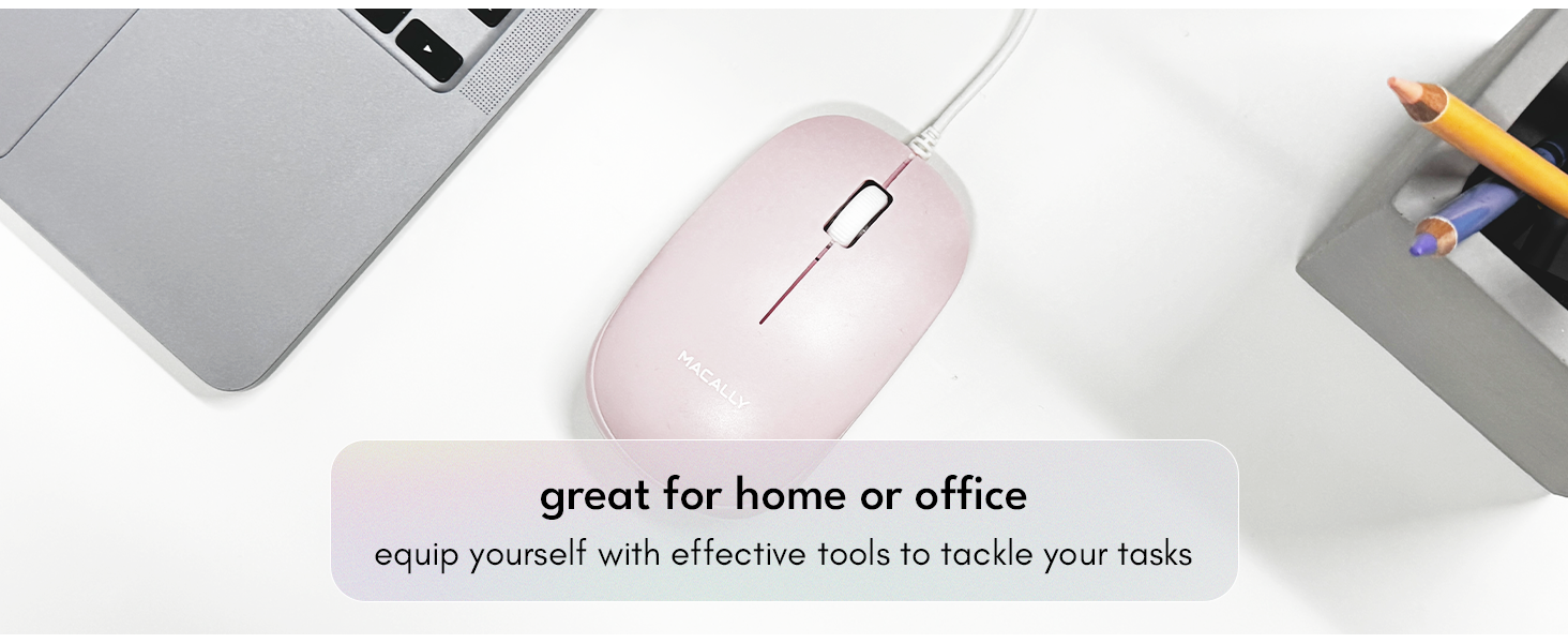 mouse