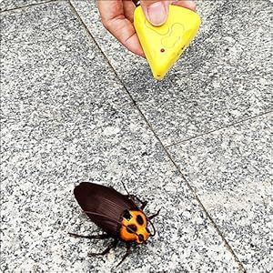 RC cockroach kids birthday Christmas gift prank toy