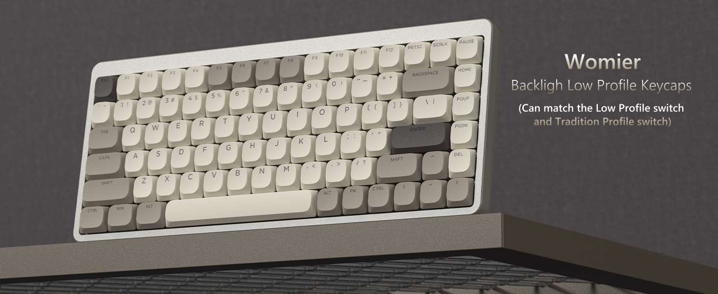 Womier Low Profile Keycaps Retro, Shine Through Key caps 75 Percent