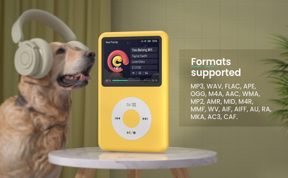 mp3 player hifi music player mp4 playlist management