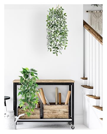 fake plants