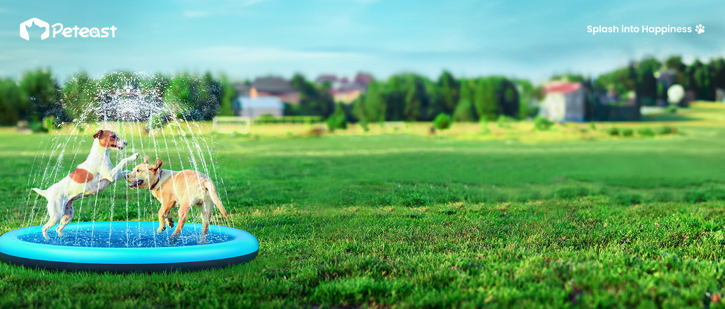 Dog squirt mat brings more fun, can be used as bath tub, fountain mat, interactive dog toys.