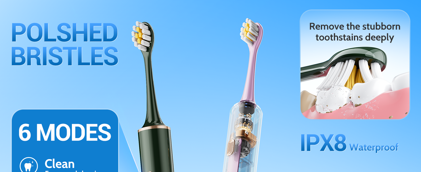 2 Pack Electric Toothbrush