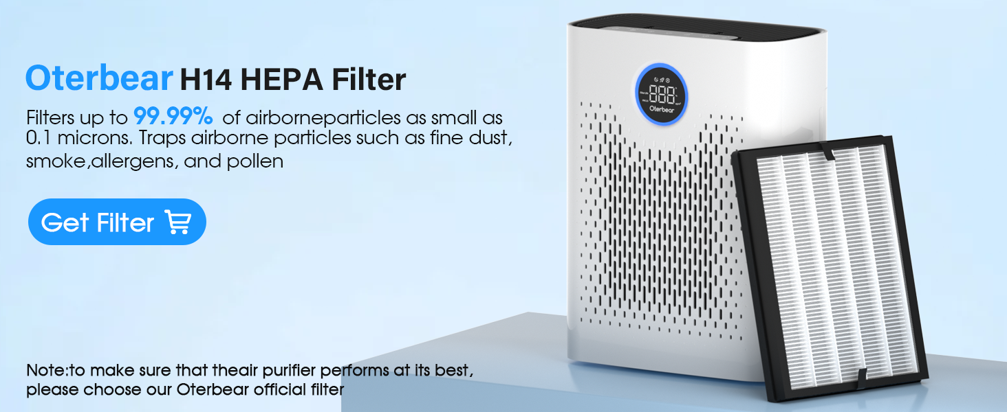 air purifier for allergies
