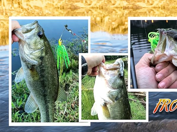 Fishing Spinner Baits
