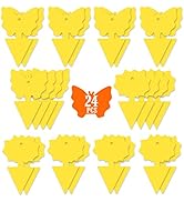 24PCS Fruit Fly Sticky Traps, Fungus Gnat Traps Insect Trap for Plants Kitchen Indoor and Outdoor...