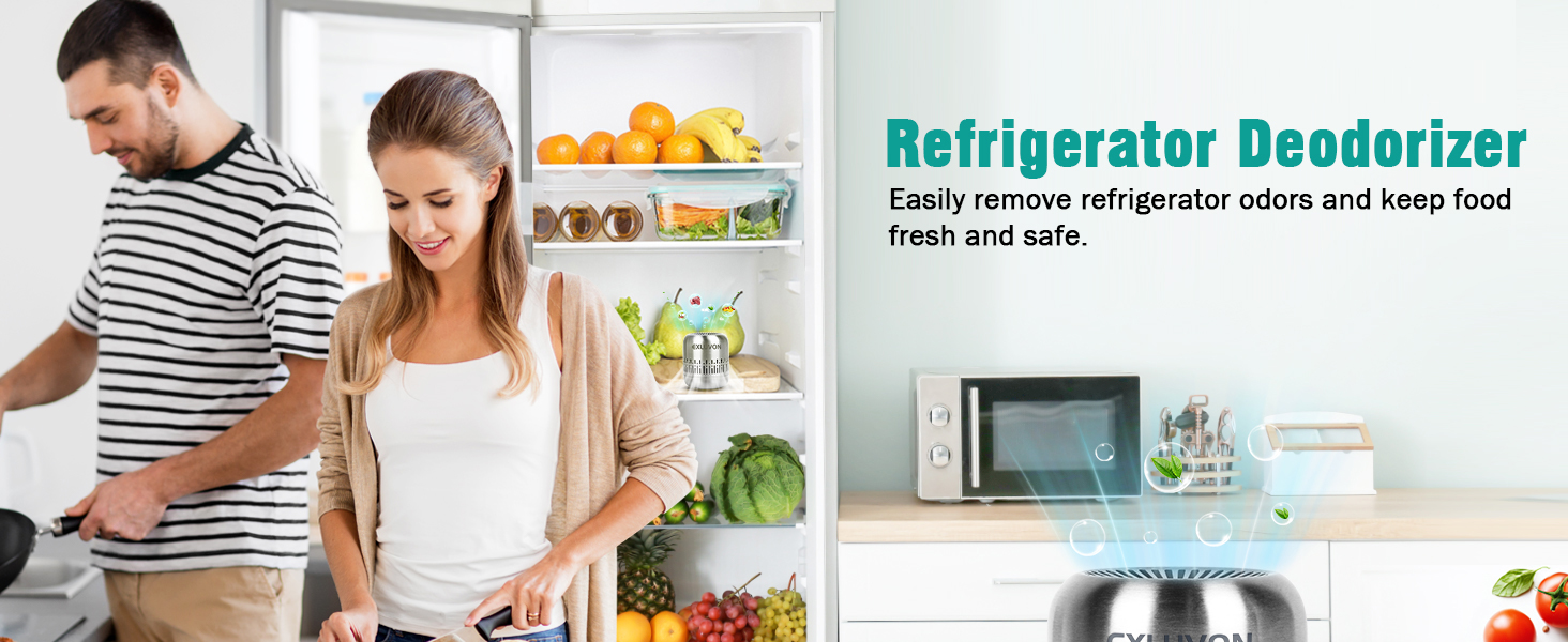 refrigerator deodorizer