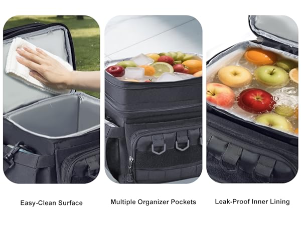 Insulated lunch box