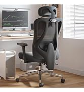 Hbada Office Chair with 2D Adjustable Lumbar Support, Ergonomic Office Chair with Adjustable Head...