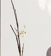 Onaboviva Essential Oil Diffuser