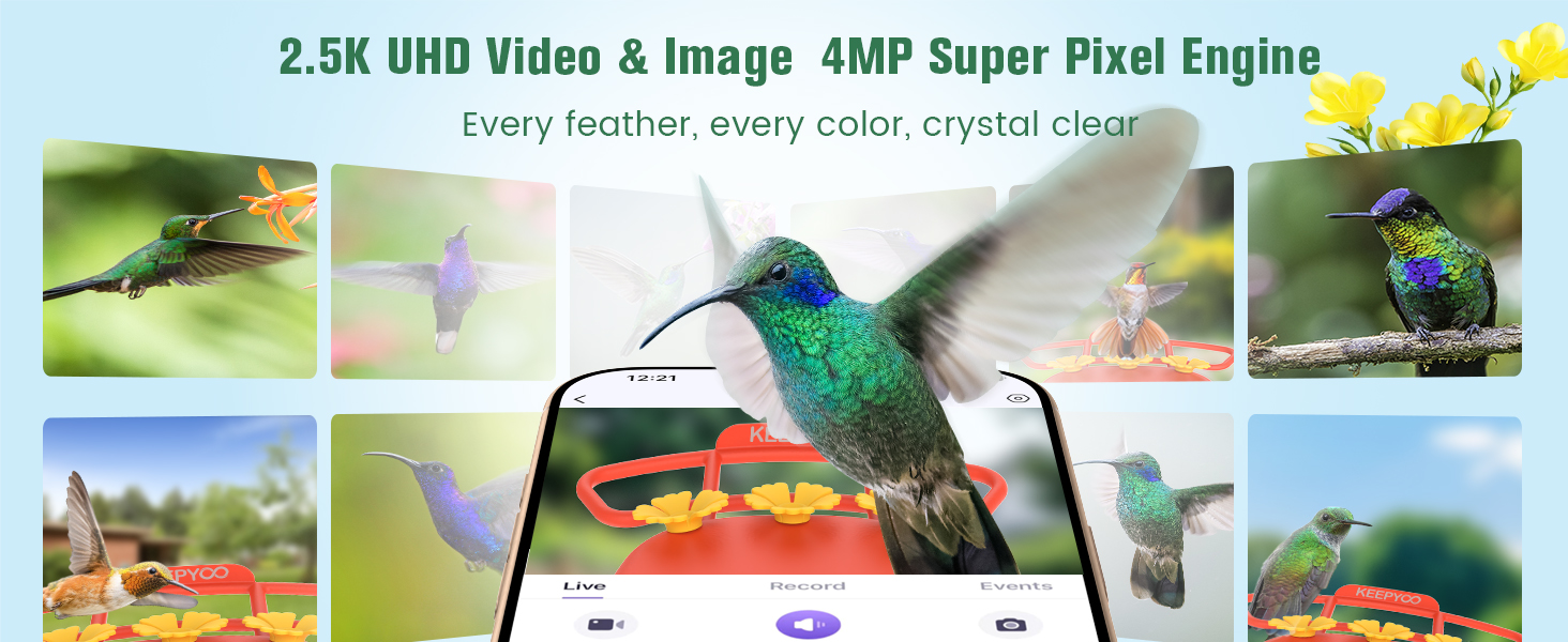 smart hummingbird feeder with camera