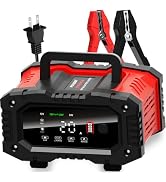 20-Amp Car Battery Charger, 12V/20A and 24V/10A LiFePO4,Lead-Acid(AGM/Gel/SLA) Automatic Smart Tr...