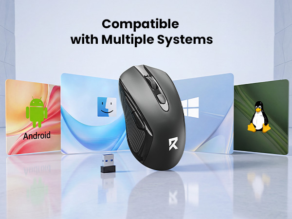 computer mouse