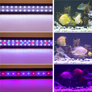 fish tank light