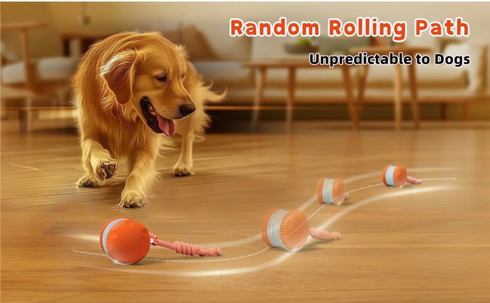 Interacitve dog toys