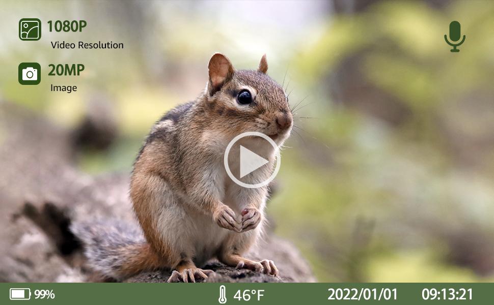 trail cameras with night vision motion activated waterproof