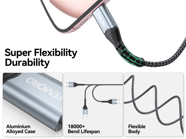10 ft usb c cable fast charging