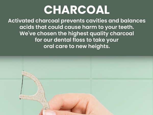 Dental Floss Picks