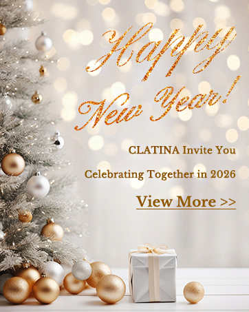 2026 new year