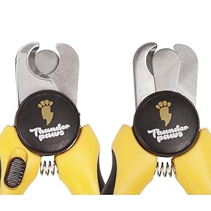 thunder tools - the ultimate tool for the garden