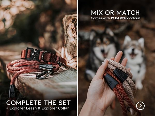 Complete the set or mix &amp; match with our explorer leash &amp; collar
