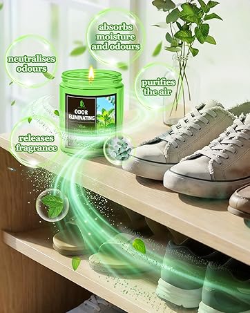 https://m.media-amazon.com/images/S/aplus-media-library-service-media/8ebc64da-a545-4f77-8c23-774c2c8ad1c7.__CR0,78,1162,1455_PT0_SX362_V1___.jpg