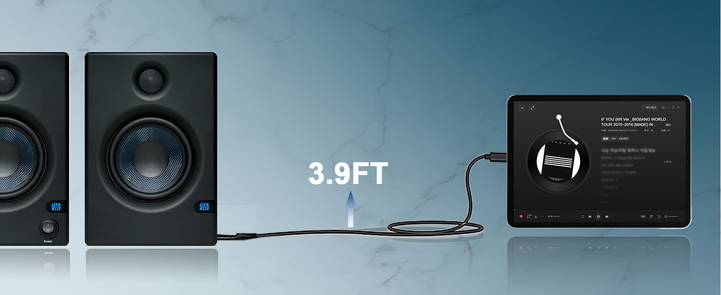 lightning to rca audio cable