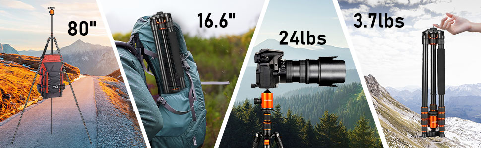 tripod stand