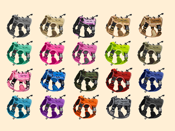 20 color options &amp; 5 size choices. Mix and match to create a personalized look that fits your dog.
