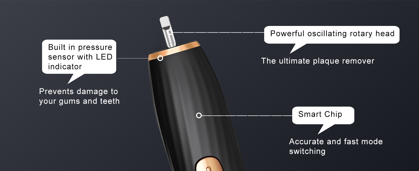 Electric Toothbrush Set with 8 Brush Heads