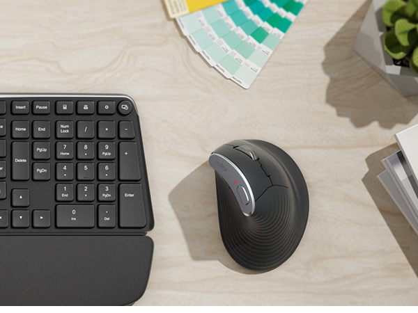 mouse