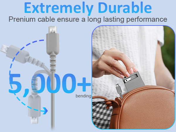DS Lite Charger