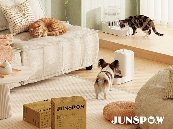 Pet Feeder and Water Dispenser