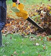 Cordless Leaf Blower