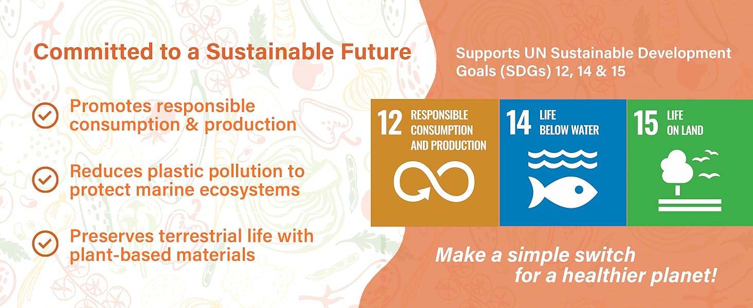 UN Sustainable Development Goals SDGs
