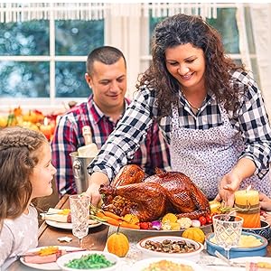 fat separator for thanksgiving