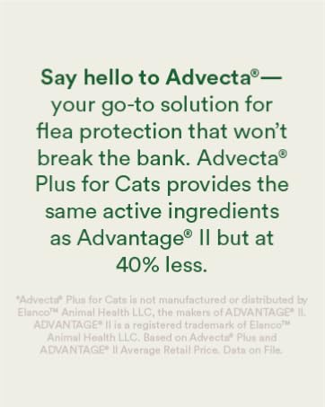 Say hello to Advecta your go-to solution for flea protection that won&amp;#39;t break the bank