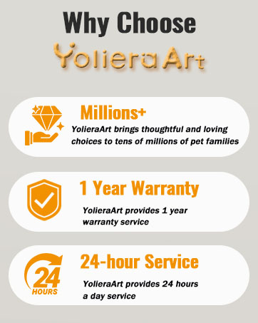 YolieraArt
