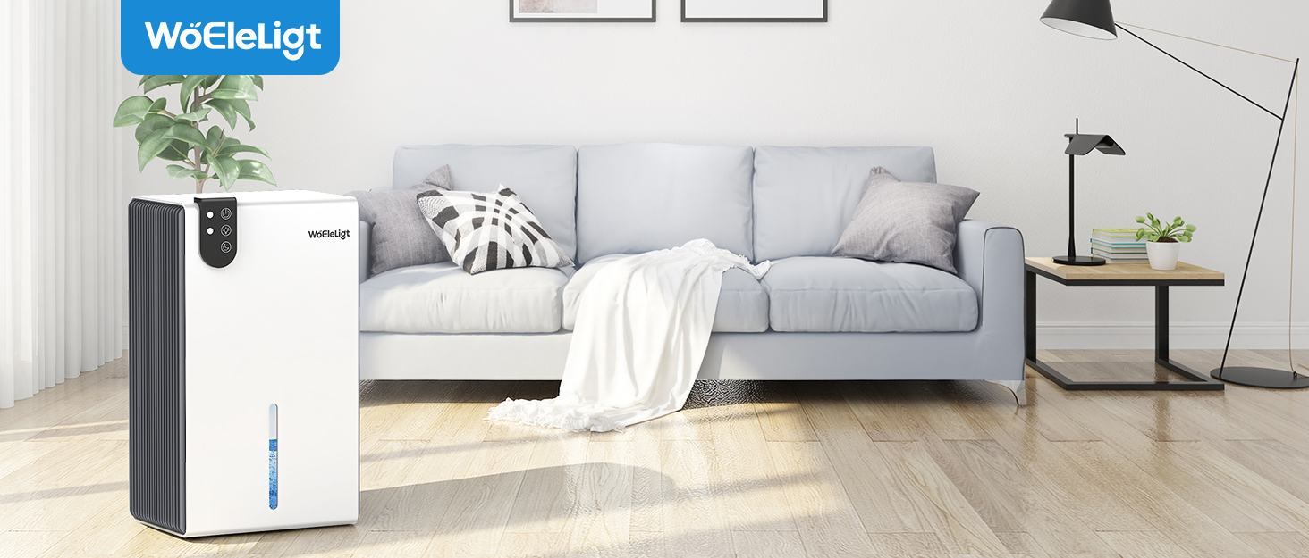 dehumidifiers for home