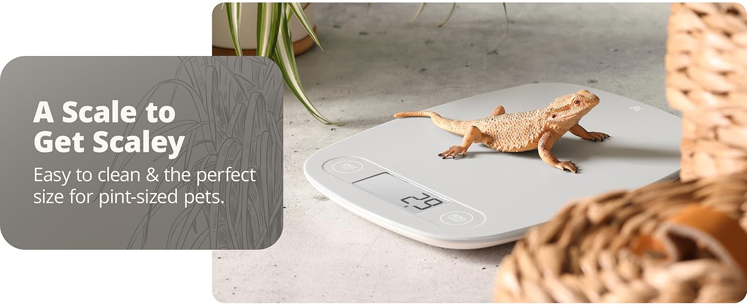 Pet weighing on greater goods kitchen scale grams and ounces display