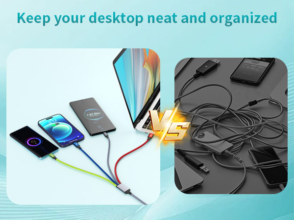 Dual Type-C Multiple Charger Cable
