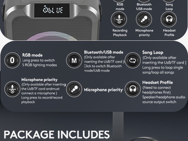 Portable Karaoke Machine with 2 Wireless Microphones