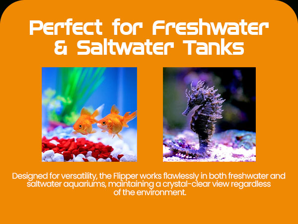 brown algae remover aquarium fish tank cleaner for scraper alge scrubber coralline aquariums